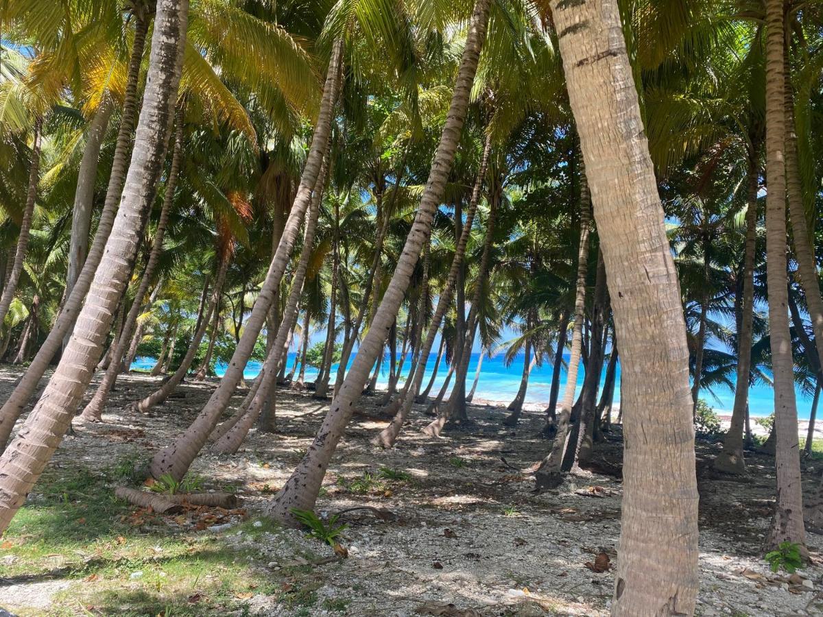 Beachfront Apartment, Quiet 4 Beds, 1 Bath, Ac, Wi-Fi, Hot Water, In Paraiso Near Los Patos Exterior photo