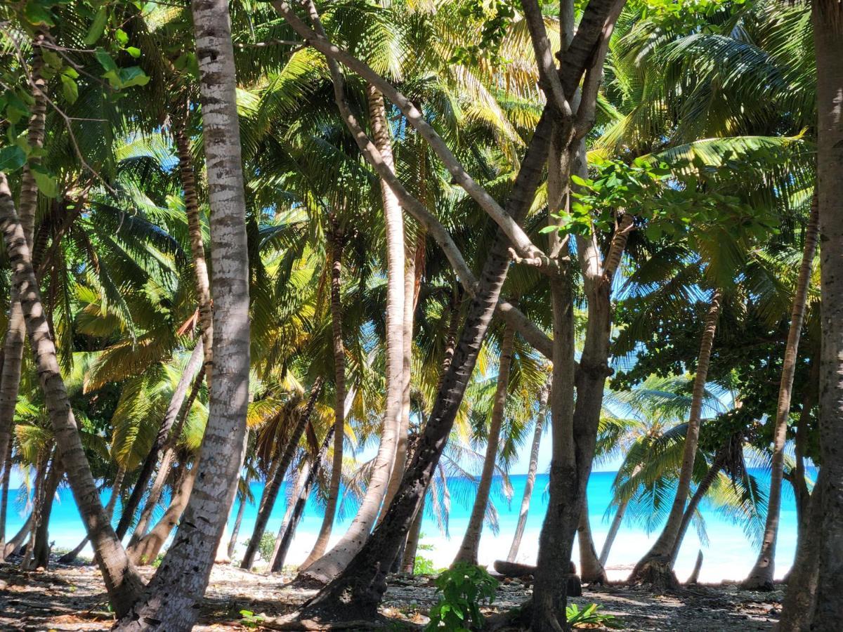 Beachfront Apartment, Quiet 4 Beds, 1 Bath, Ac, Wi-Fi, Hot Water, In Paraiso Near Los Patos Exterior photo