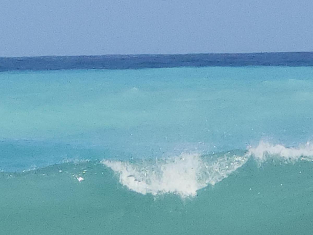Beachfront Apartment, Quiet 4 Beds, 1 Bath, Ac, Wi-Fi, Hot Water, In Paraiso Near Los Patos Exterior photo
